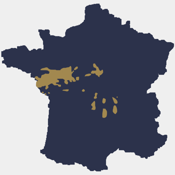 Das lange, weite Tal der Loire bildet die...