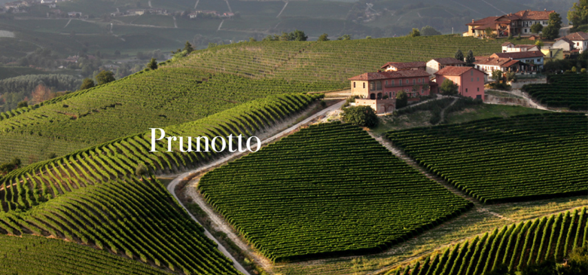 Weingut Prunotto - Toskana