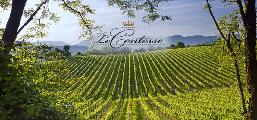 Weingut Le Contesse