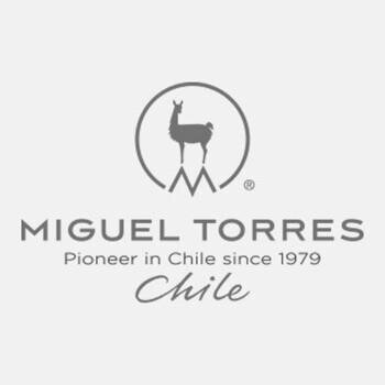 Miguel Torres Chile