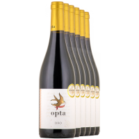 5+1 Opta Dao Tinto 2022