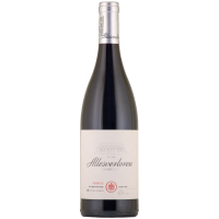 Shiraz 2021
