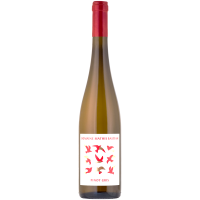 Pinot Gris Wellenstein Foulschette Grand Premier Cru 2025