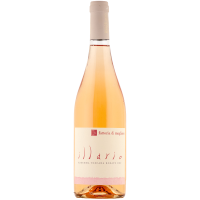 Illario Rosato 2025