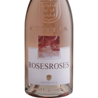 Roses Roses 2025
