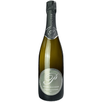 Weißburgunder Pillnitz Sekt brut 2020