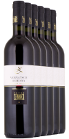 5+1 Vernatsch – Schiava 2025