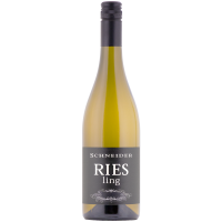 Riesling trocken 2025