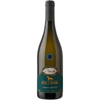 Villa Canlungo Pinot Grigio COLLIO 2025