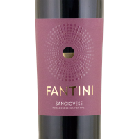 Sangiovese Terre dAbruzzo 2024