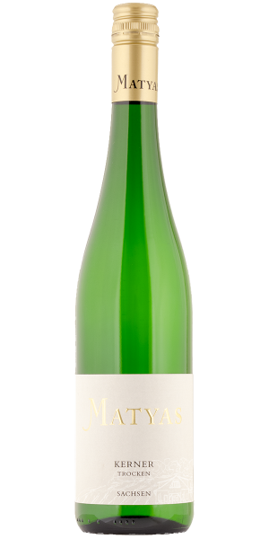 Kerner Radebeuler Johannisberg trocken 2025