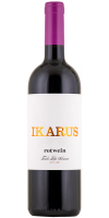 Ikarus Rotwein trocken 2020
