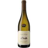Sauvignon Blancfumat Collio 2025