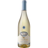 Villa Canlungo Pinot Grigio 2025
