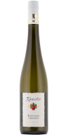 Gutsriesling trocken 2023