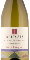 Brissaia Ansonica 2021