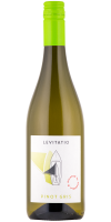 Pinot Gris Levitatio 2020