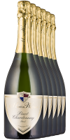 5+1 Pinot Chardonnay Sekt Brut 2020