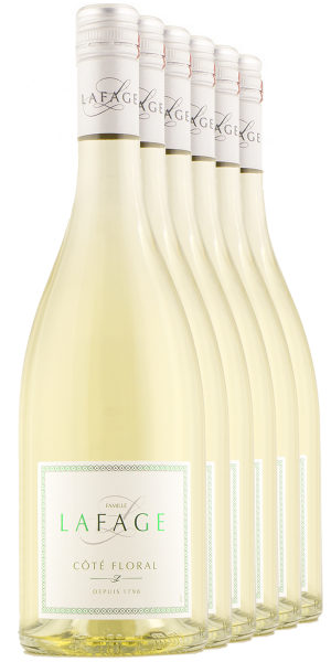 FREI HAUS 6 x Côté Floral 2024