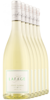FREI HAUS 6 x Côté Floral 2024