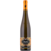 Geisenheim Rothenberg Riesling GG 2020
