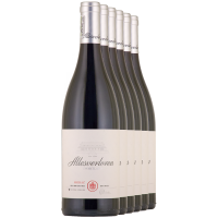 FREI HAUS 6 x Shiraz 2021