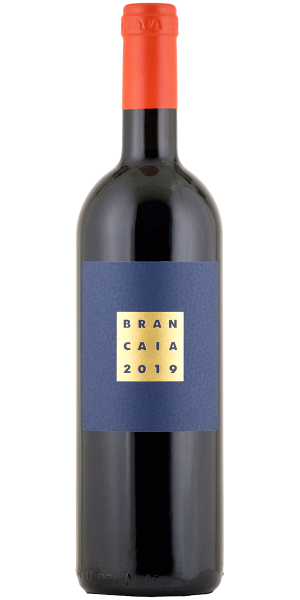 IL BLU 2019