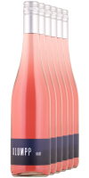 FREI HAUS 6 x Rosé 2024