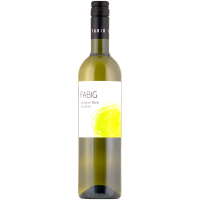 Soul Sauvignon Blanc Na výsluní 2020