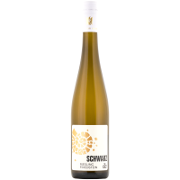 Riesling Friedstein GG 2022