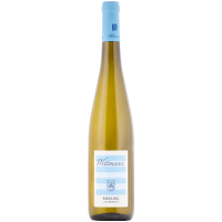 Riesling vom Kalkstein trocken 2023