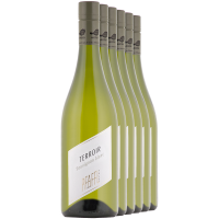 FREI HAUS 6 x Sauvignon Blanc TERROIR 2024