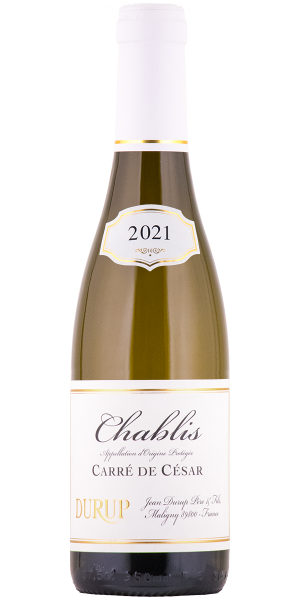 Chablis Carré de César 2023 halbe Flasche