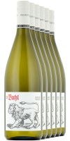 FREI HAUS 6 x Riesling trocken 2023 Literflasche