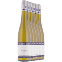 FREI HAUS 6 x Riesling vom Kalksteinfels trocken 2023