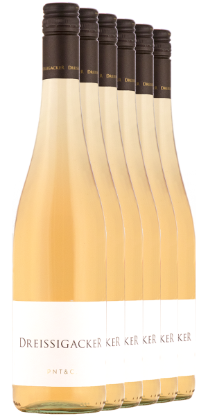 5+1 PNT & C. Rosé 2023