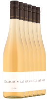 5+1 PNT & C. Rosé 2023