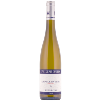 Riesling Laumersheimer Kapellenberg Alte Reben trocken 2023