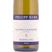 Riesling Laumersheimer Kapellenberg Alte Reben trocken 2023