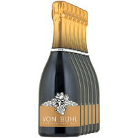 FREI HAUS 6 x von Buhl Riesling Sekt Brut 2020